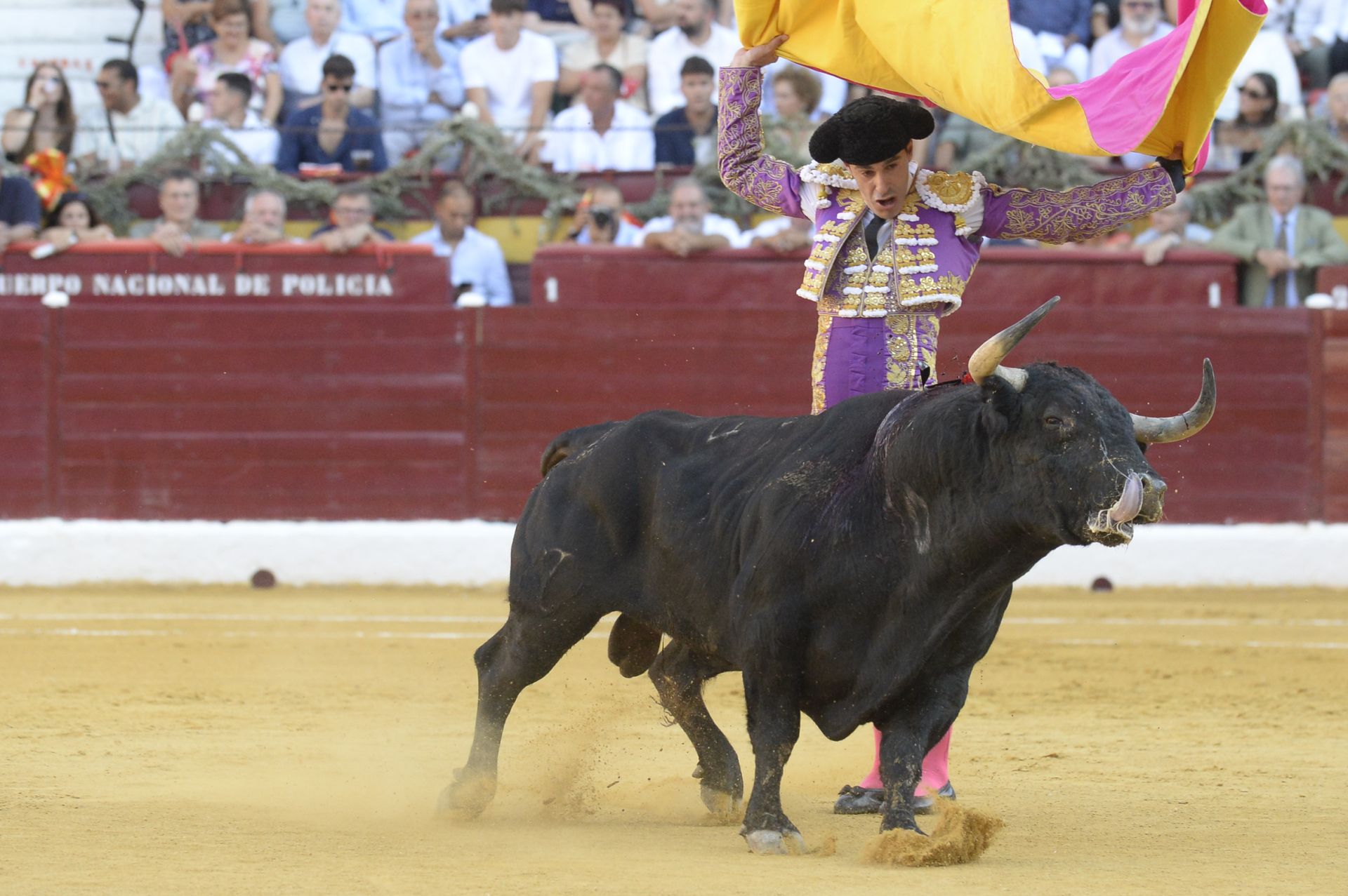 Las imágenes de la corrida de la Romería de la Feria Taurina de Murcia
