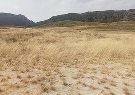 Sierra y Serrata del Puerto y Mulata.