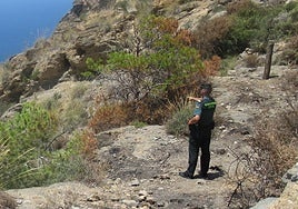 Un agente señala a parte de la vegetación afectada durante el incendio forestal.