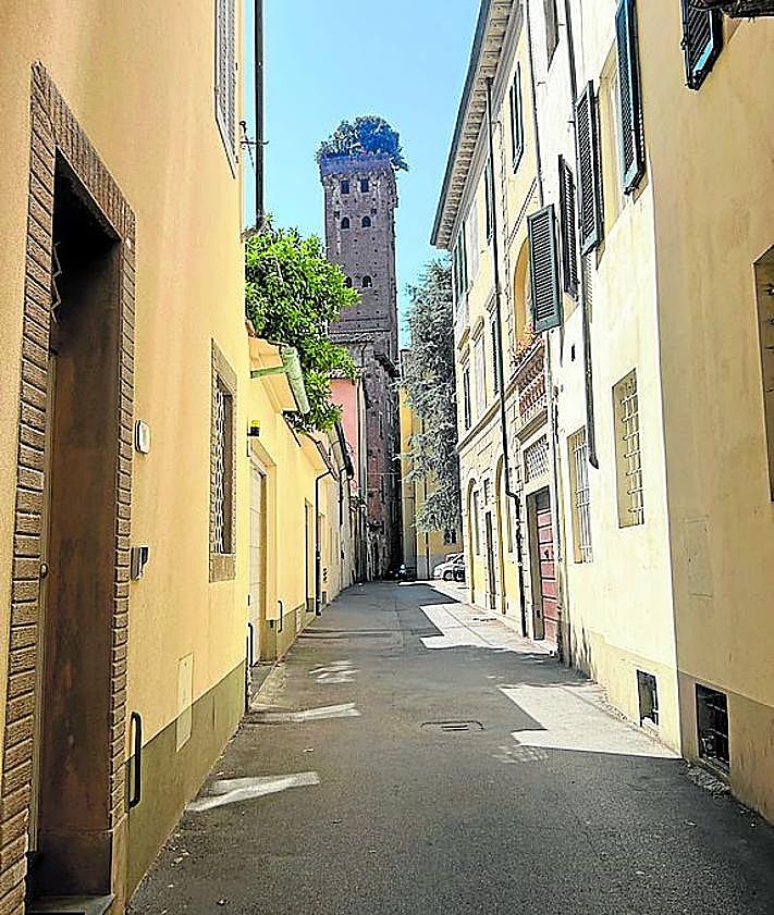 Imagen secundaria 2 - Panorámica de la ciudad de Lucca. | Camino de cipreses. | Calles de Lucca.