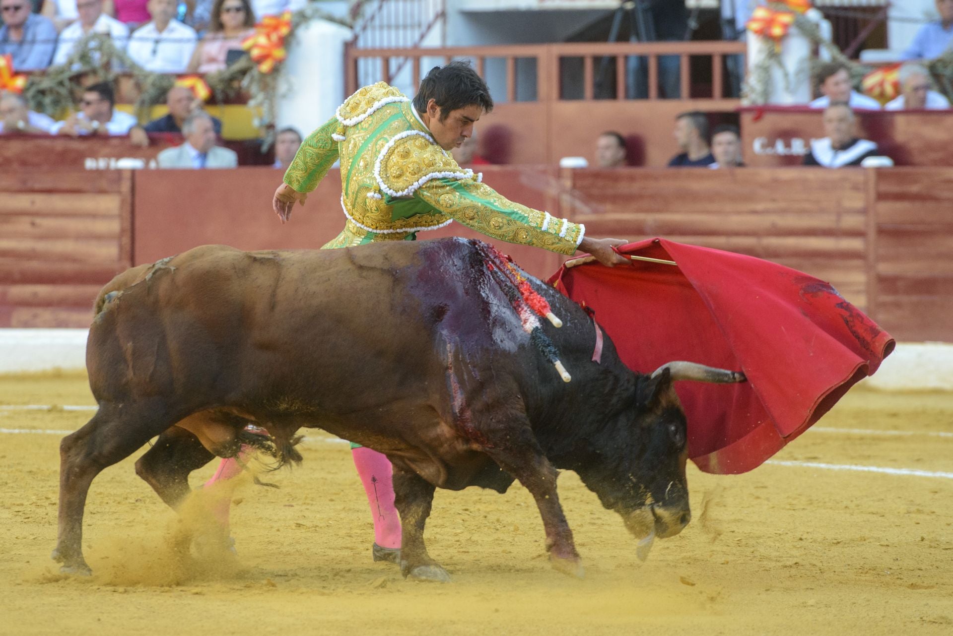 La tarde triunfal de Ureña en Murcia, en imágenes