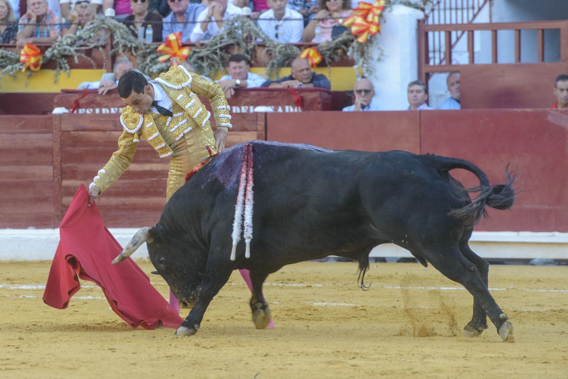 La tarde triunfal de Ureña en Murcia, en imágenes