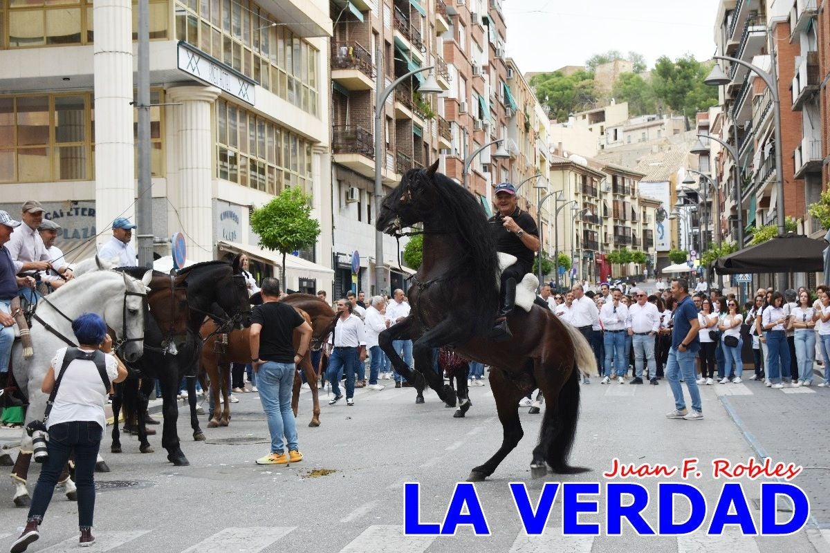 Imágenes de la Romería del Bando de los Caballos del Vino en Caravaca - Galería 1