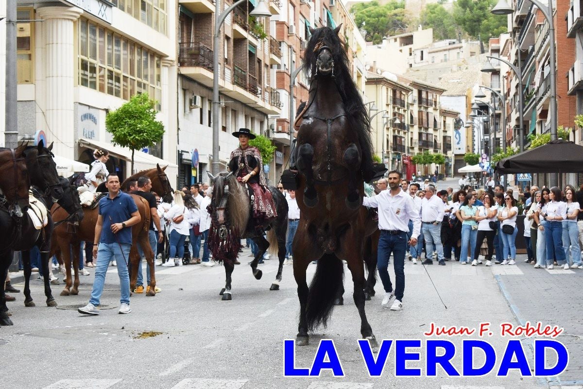 Imágenes de la Romería del Bando de los Caballos del Vino en Caravaca - Galería 1