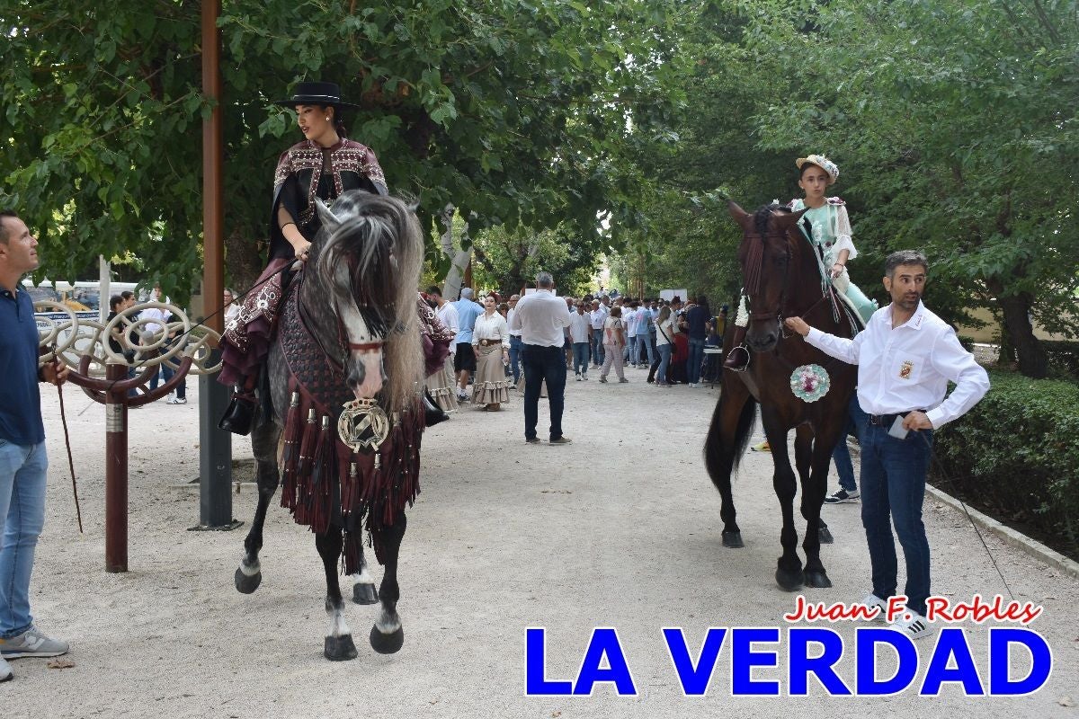 Imágenes de la Romería del Bando de los Caballos del Vino en Caravaca - Galería 2