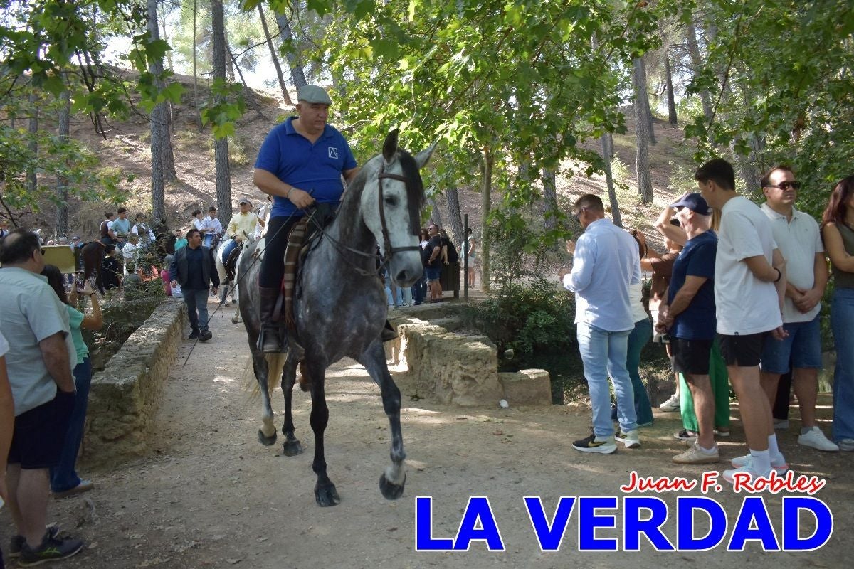 Imágenes de la Romería del Bando de los Caballos del Vino en Caravaca - Galería 2