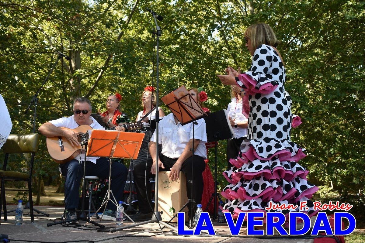 Imágenes de la Romería del Bando de los Caballos del Vino en Caravaca - Galería 2