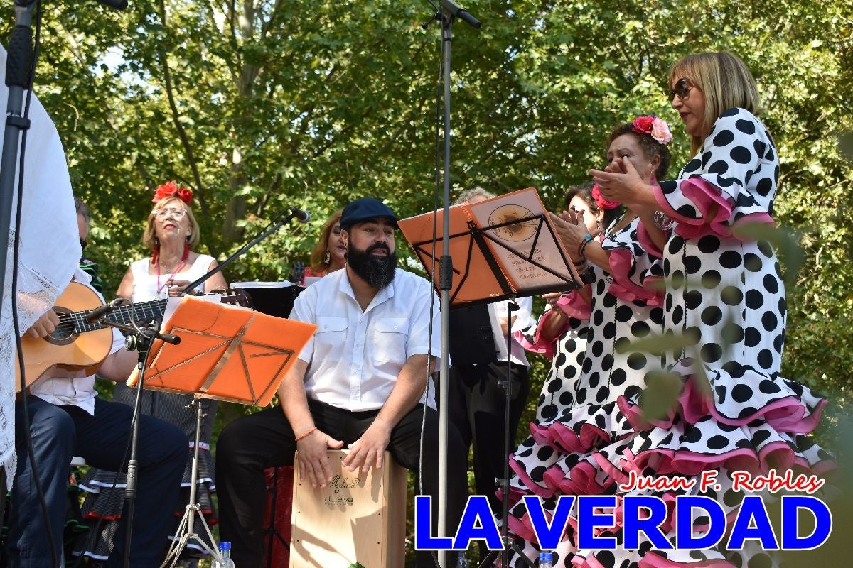 Imágenes de la Romería del Bando de los Caballos del Vino en Caravaca - Galería 2