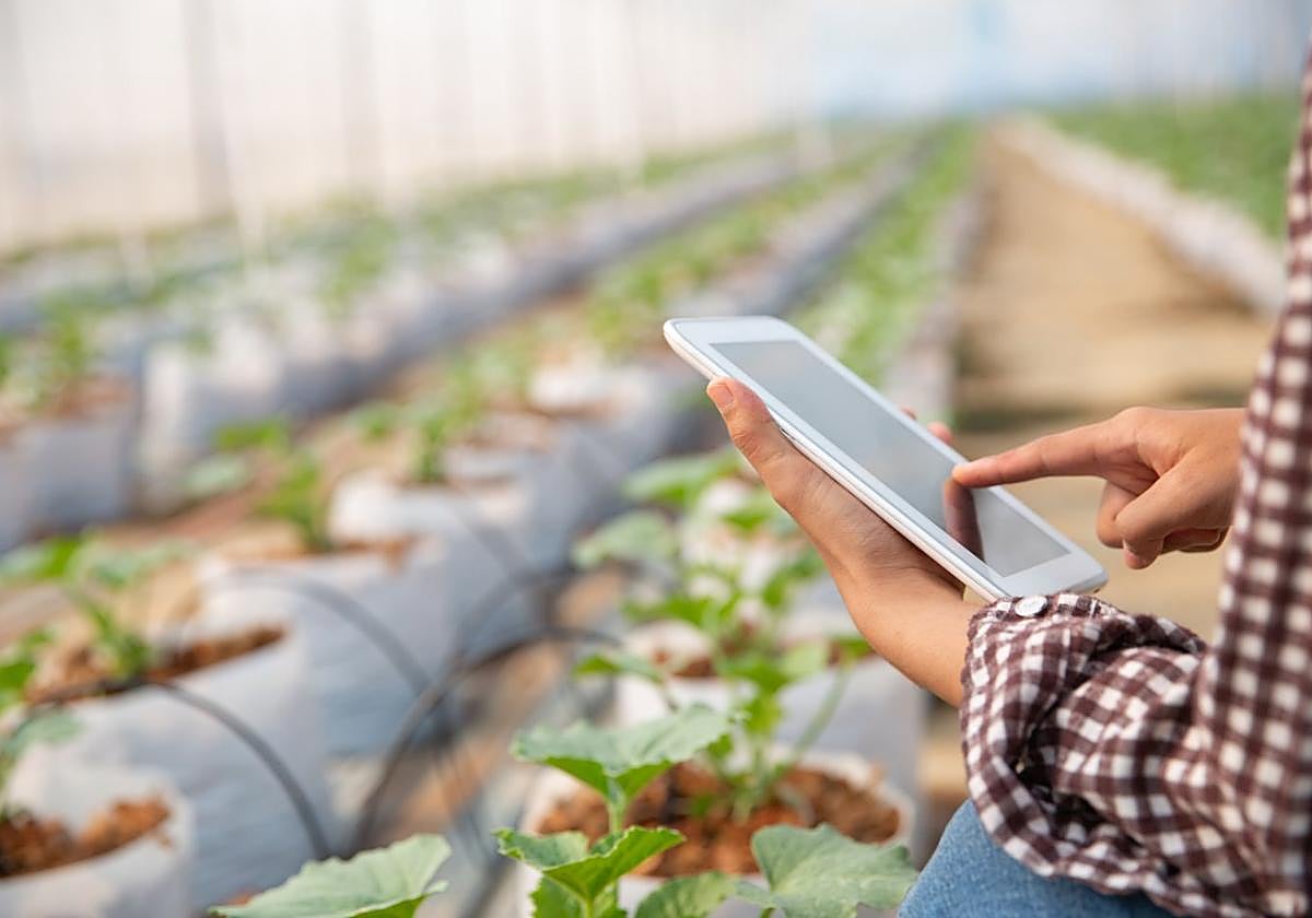 El sector agroalimentario comparte una jornada sobre digitalización e IA