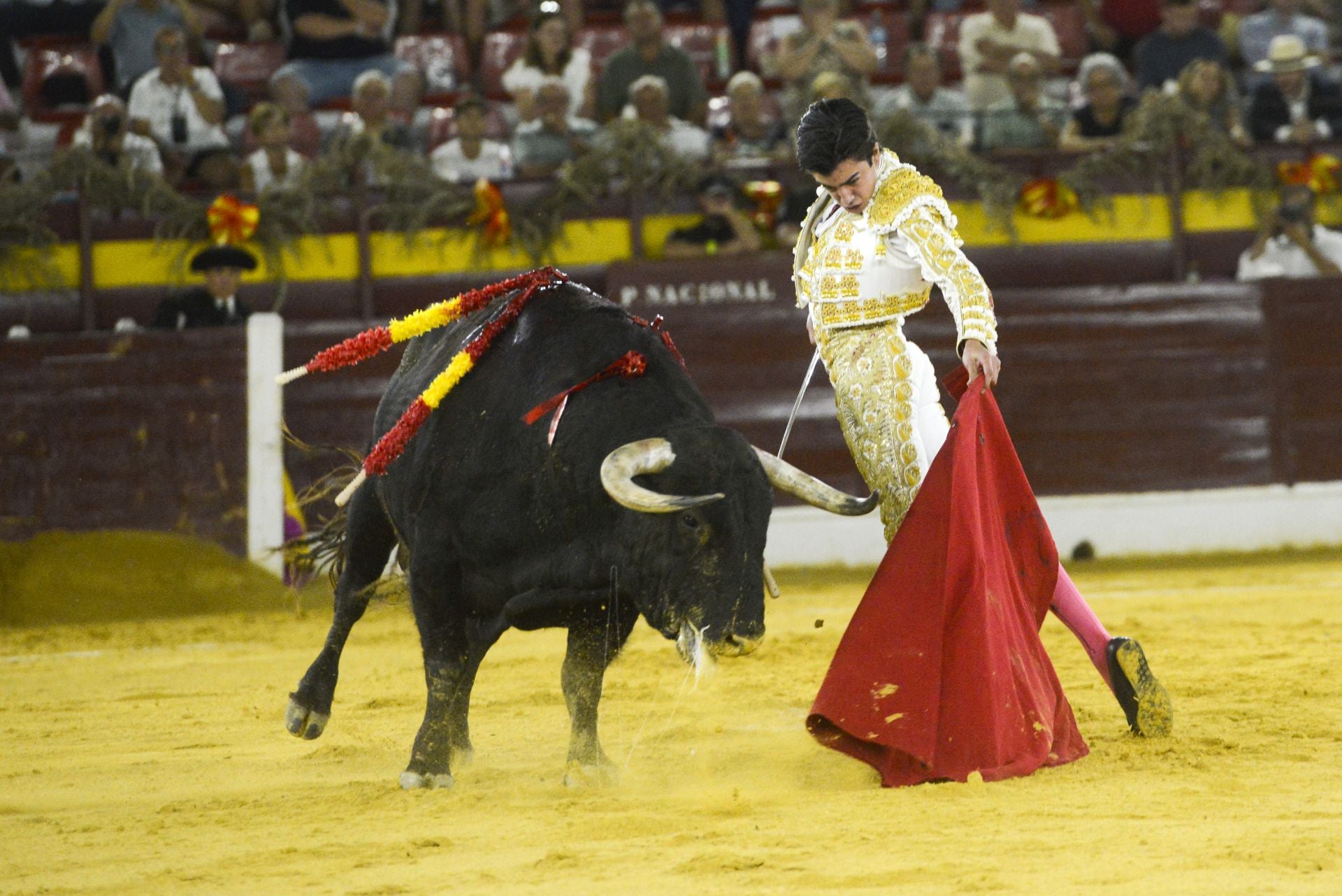 La Corrida de la Prensa de Murcia, en imágenes
