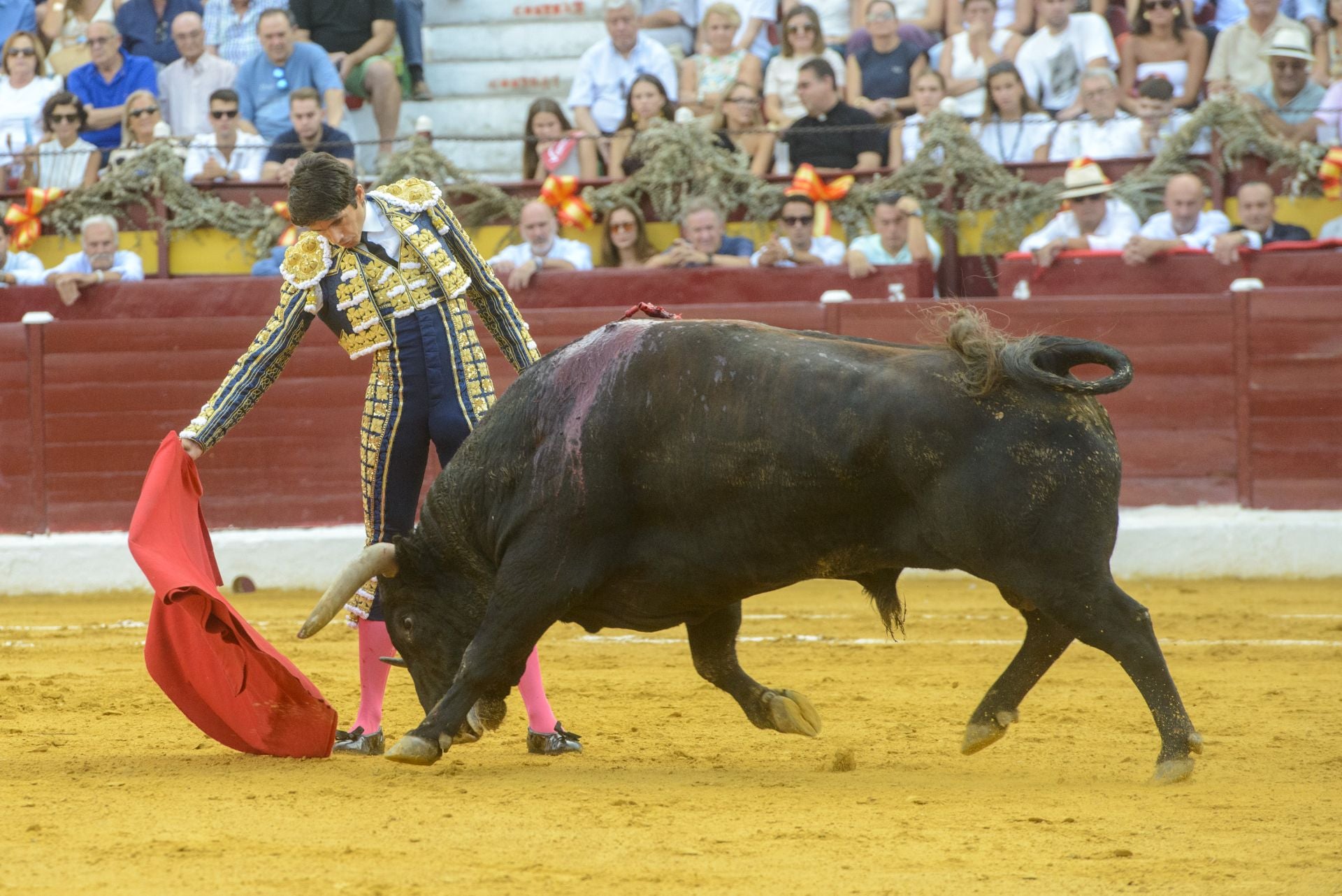 La Corrida de la Prensa de Murcia, en imágenes