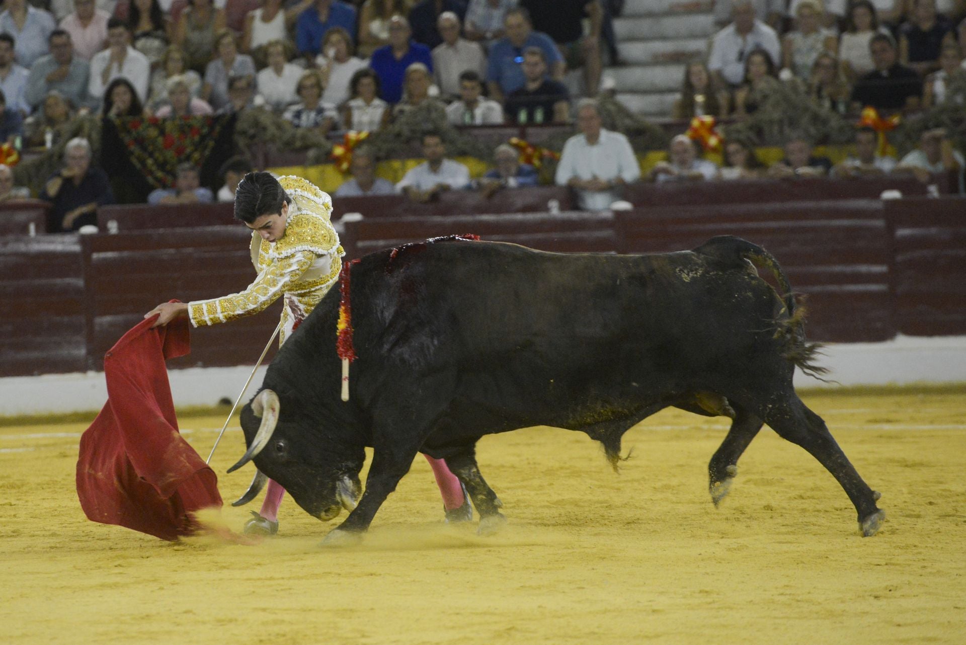 La Corrida de la Prensa de Murcia, en imágenes