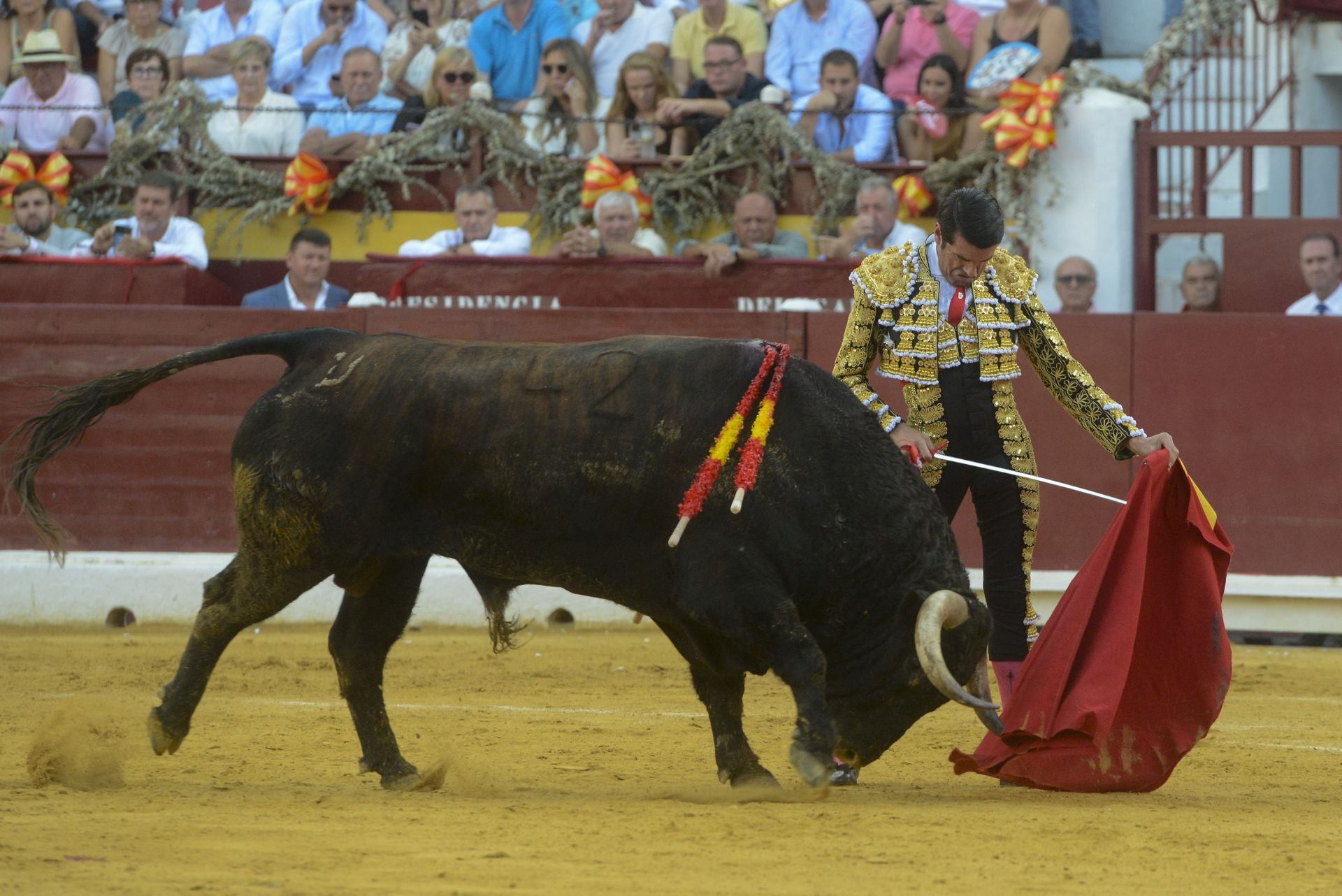 La Corrida de la Prensa de Murcia, en imágenes