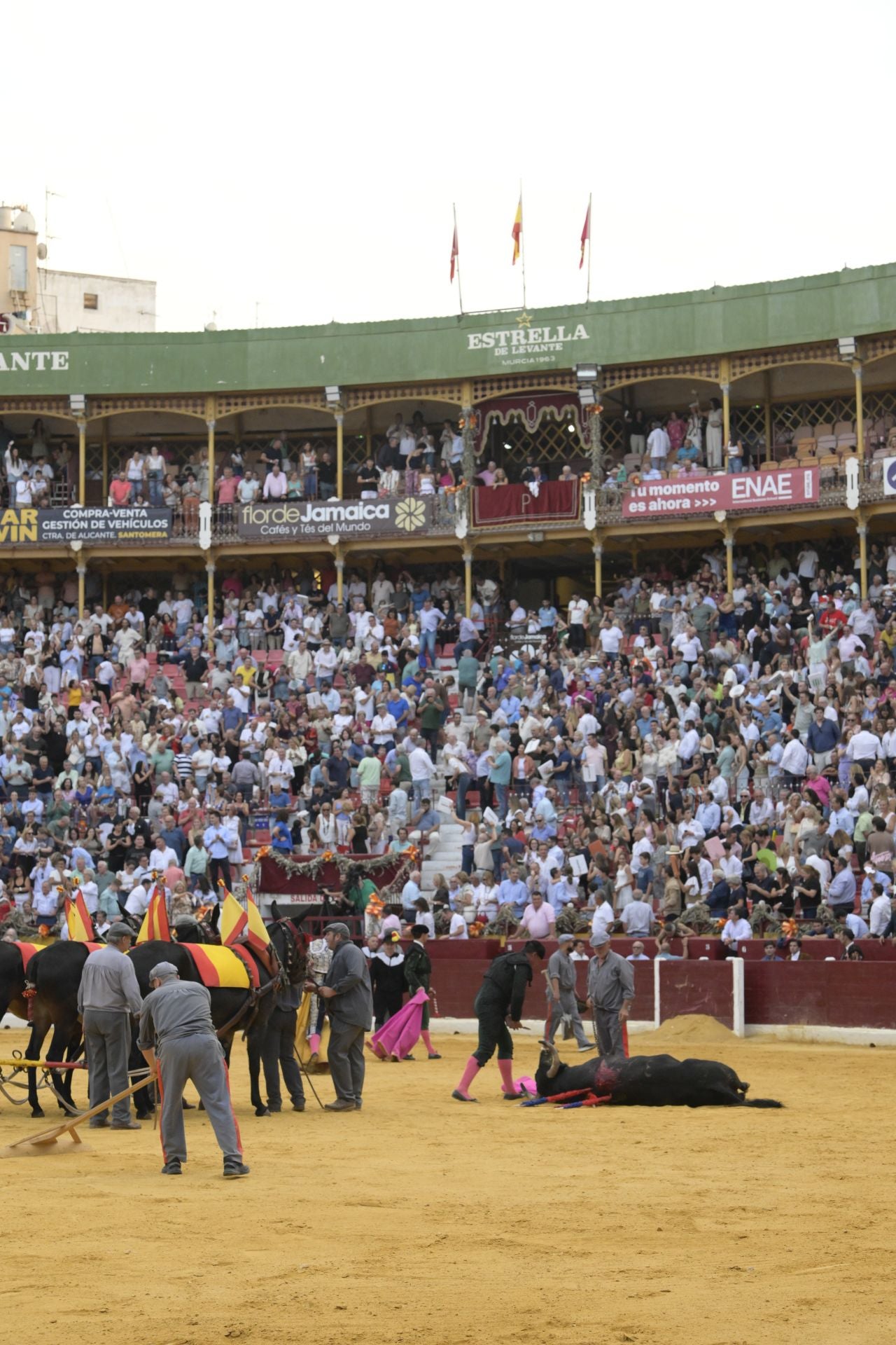Las imágenes de la corrida de rejones de la Feria de Taurina de Murcia