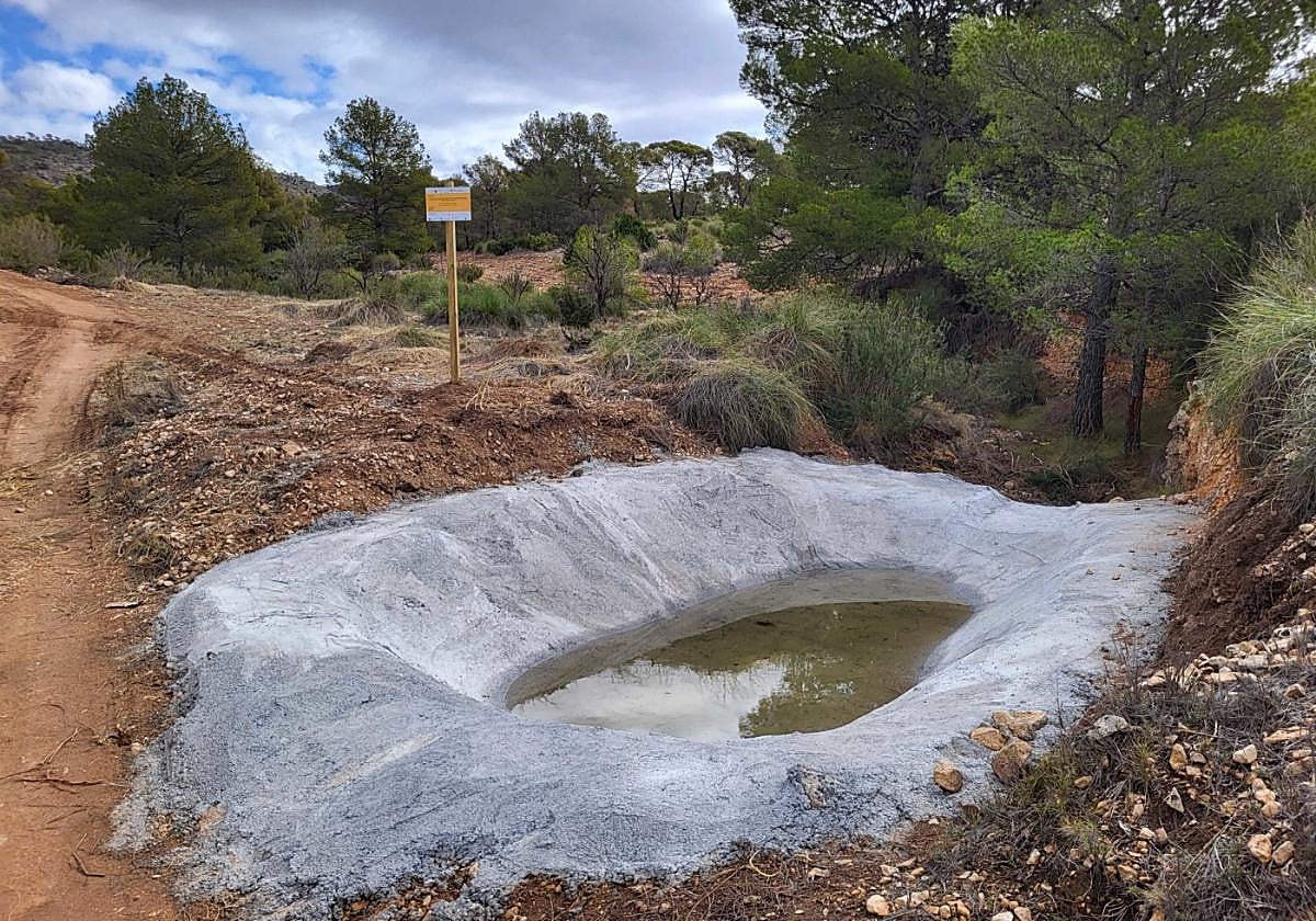 Una de las 46 balsas de agua construidas para la fauna.