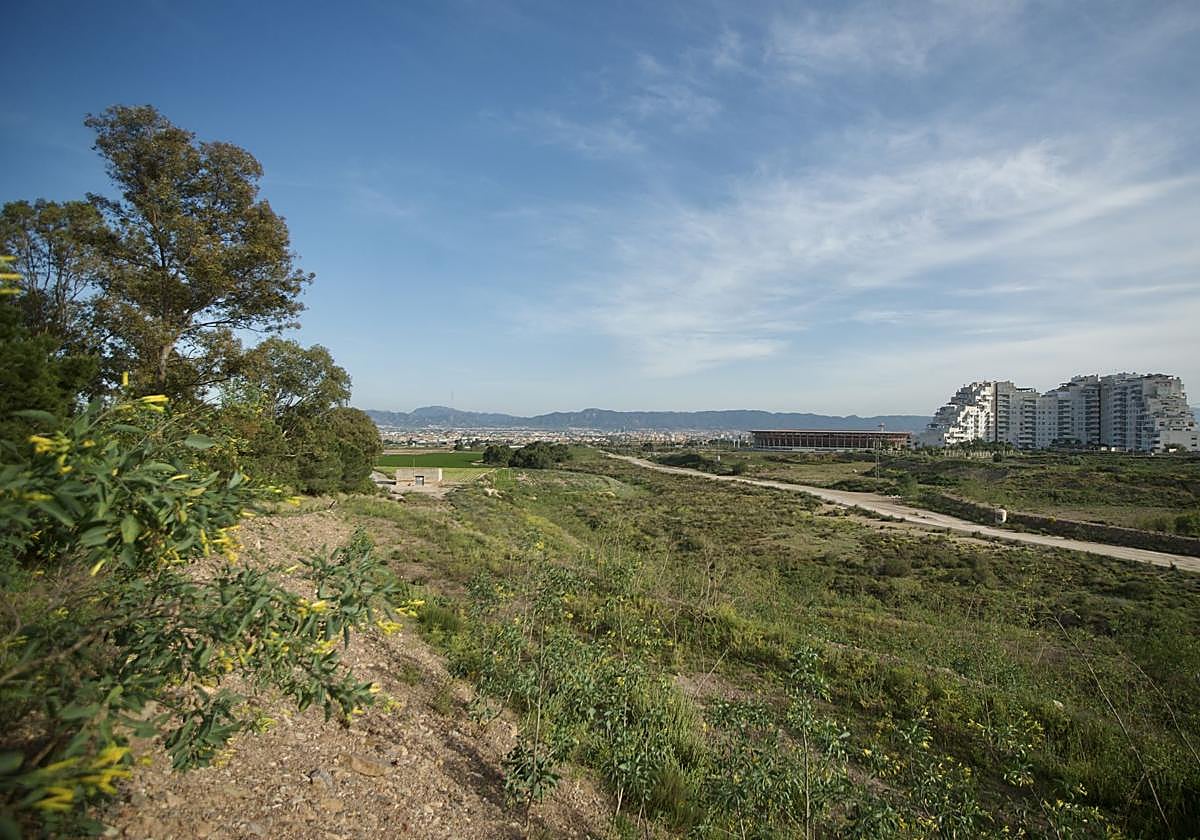 Terrenos junto a Nueva Condomina.