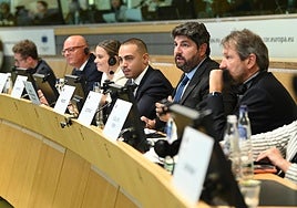 Fernando López Miras, este martes en la Comisión de Recursos Naturales del Comité Europeo de las Regiones.