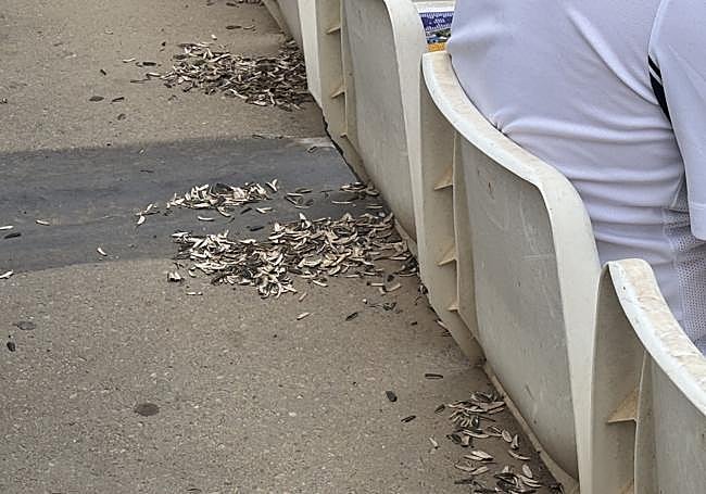 Pipas sin recoger.La limpieza es deficiente y la gente tampoco ayuda tirando pipas al suelo.