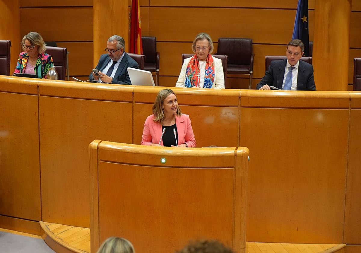 La consejera Conchita Ruiz durante su comparecencia de este martes en el Senado.