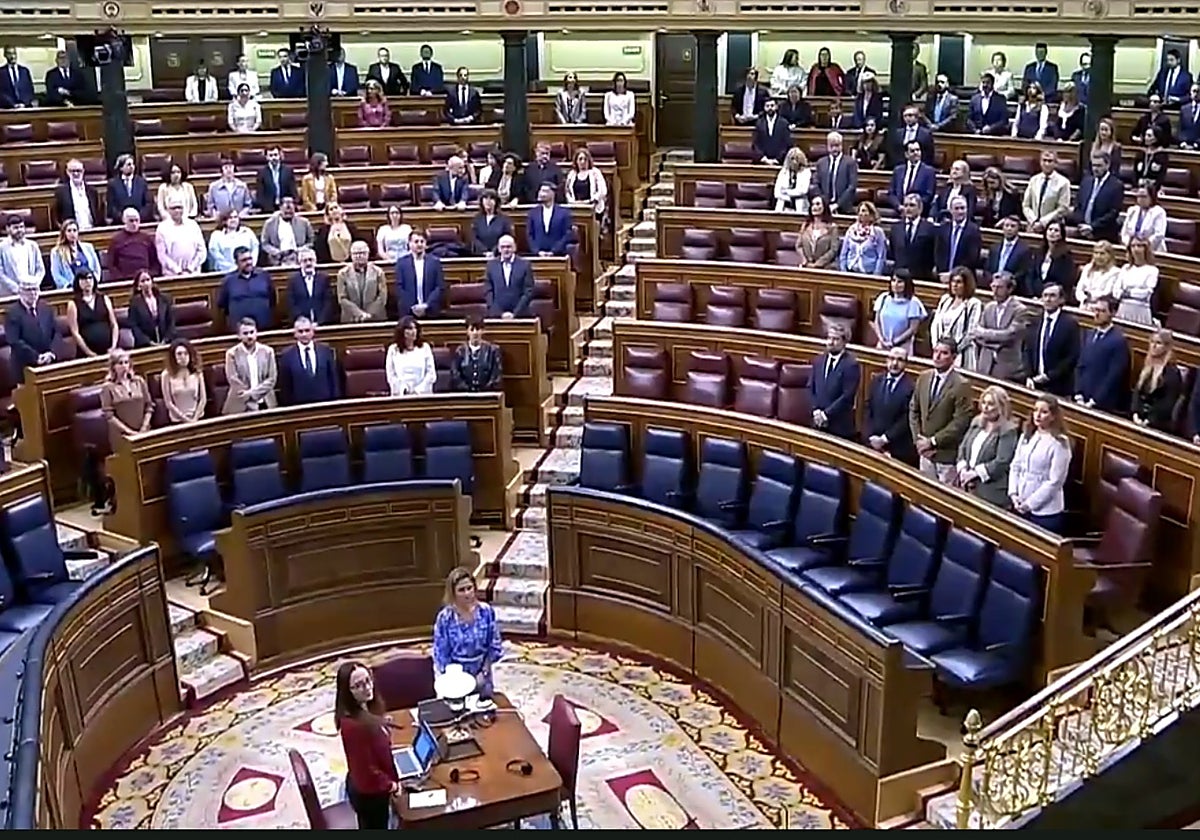 Imagen del hemiciclo, con los escaños de Vox vacíos.