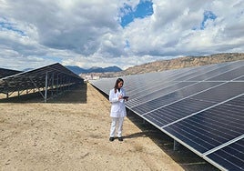 ElPozo Alimentación ha puesto en marcha proyectos clave en eficiencia energética.