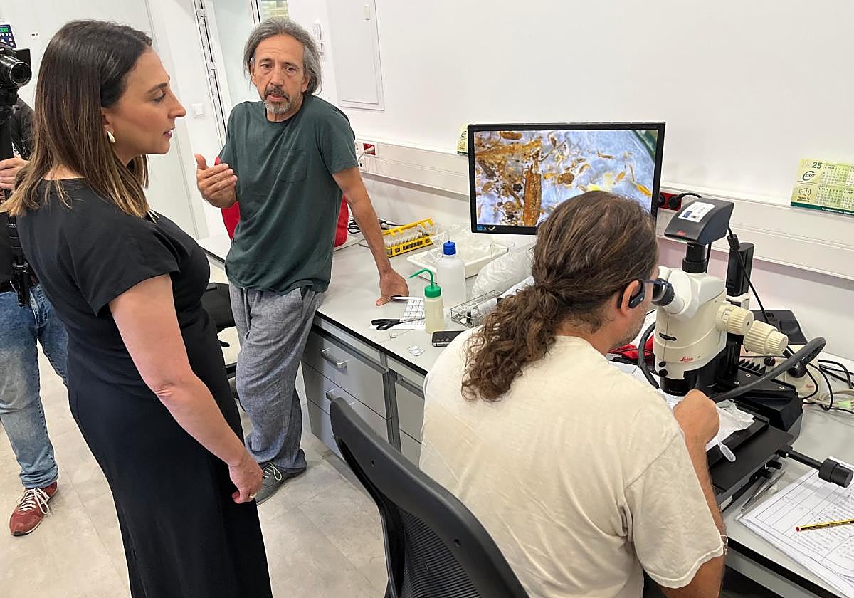 Un técnico del Imida en el laboratorio.