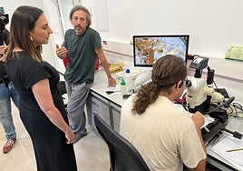 Un técnico del Imida en el laboratorio.