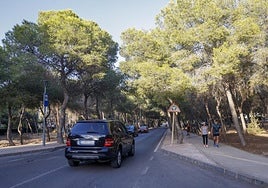 Vehículos y vecinos transitan por la carretera de Tentegorra.