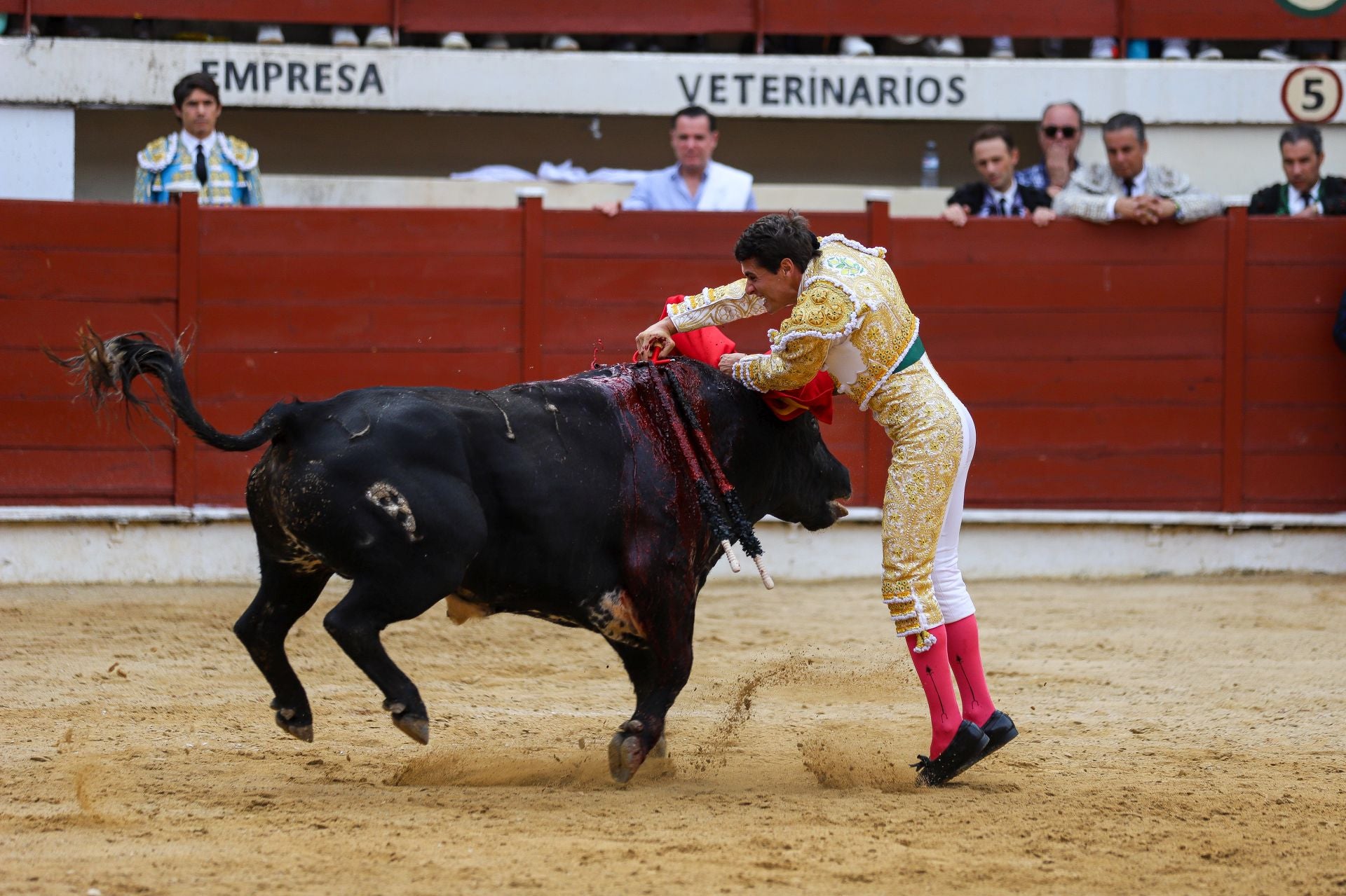 En imágenes, la corrida de toros de este sábado en Abarán