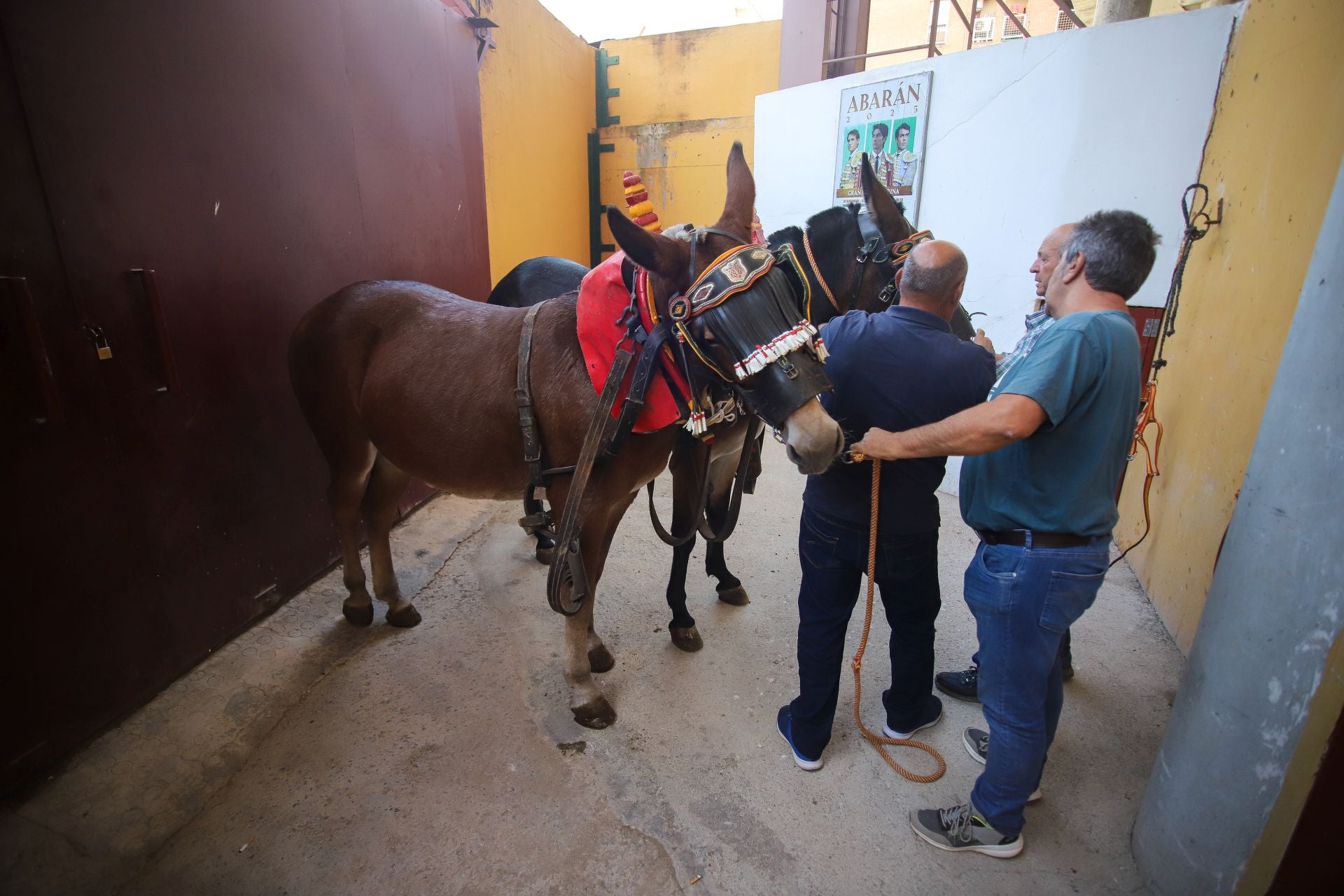 En imágenes, la corrida de toros de este sábado en Abarán