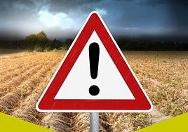 Fecoam insiste en la modernización de los seguros agrarios ante riesgos climáticos