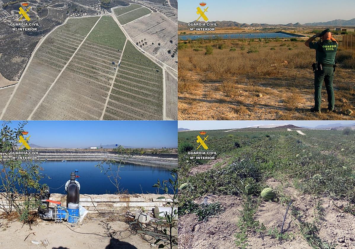 Los terrenos transformados ilegalmente de secano en regadío.