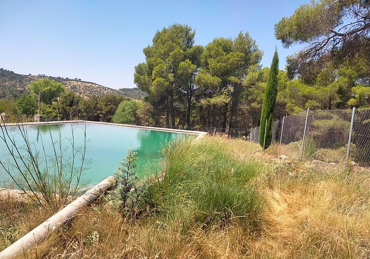 Medio Ambiente creará un reservorio de plantas aromáticas en el vivero forestal de Moratalla