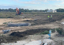 Acondicionamiento de espacios junto a la desembocadura del río Segura.