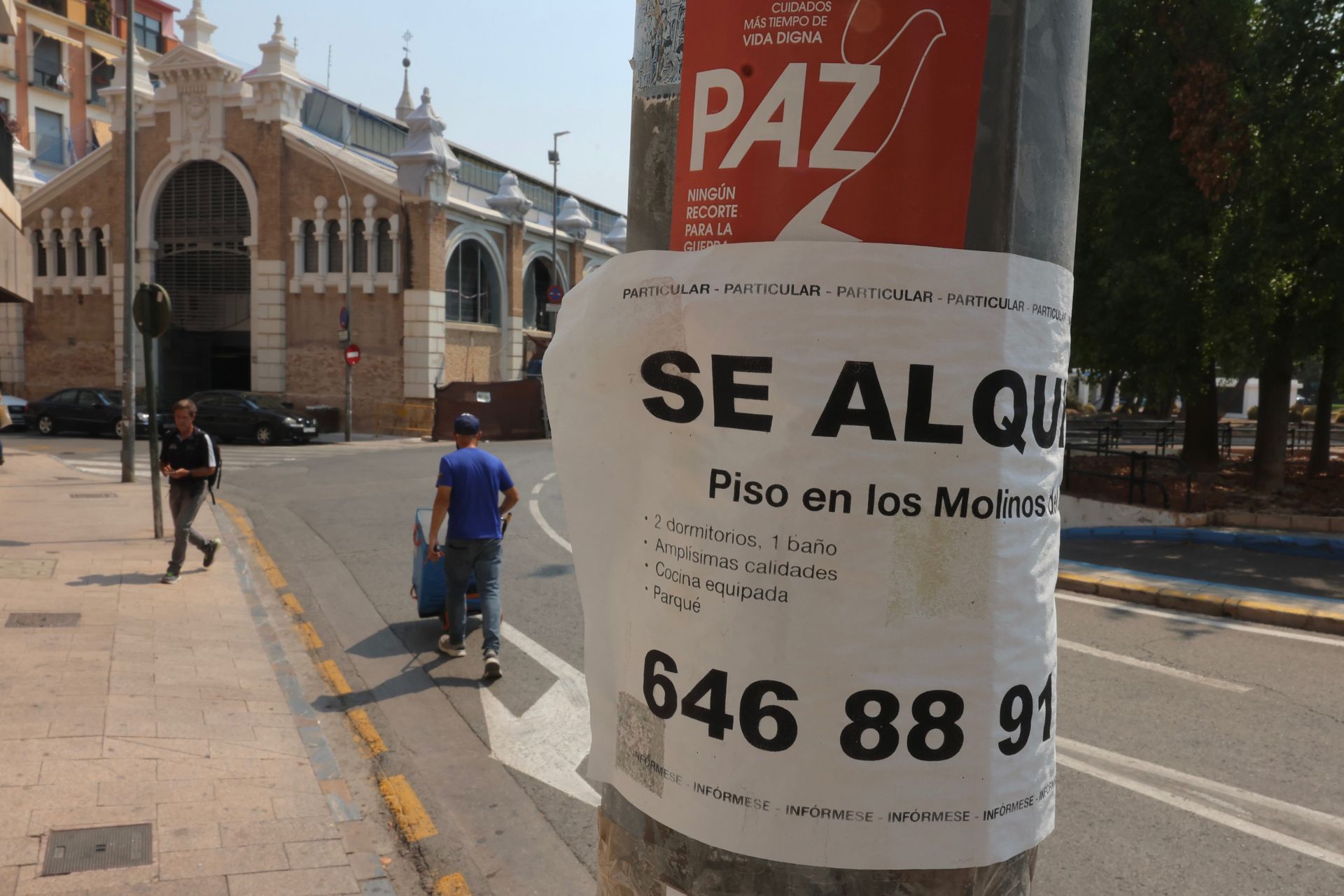 Un cartel anunciando el alquiler de una vivienda en Murcia, en una foto de archivo.