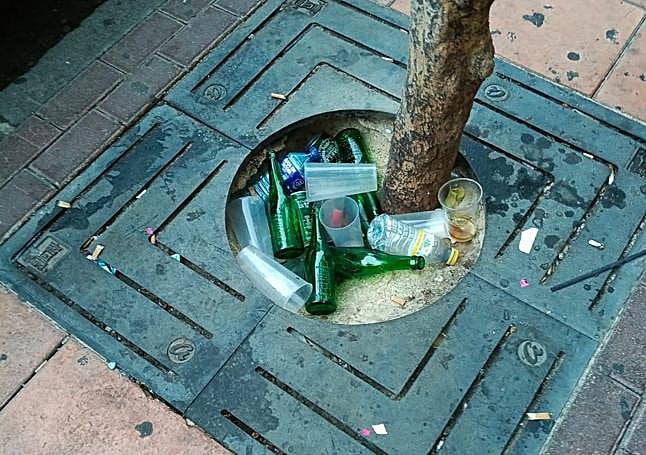 Vasos y botellas en un alcorque, tras una noche de fiesta.