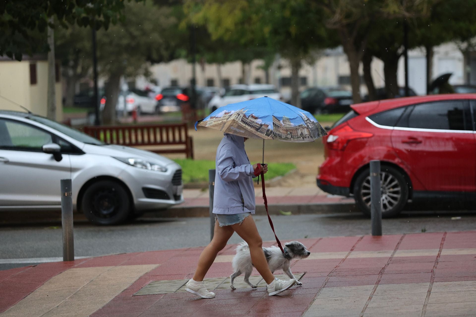 Las imágenes de la tormenta y la lluvia por la dana &#039;Alice&#039; este jueves en la Región de Murcia