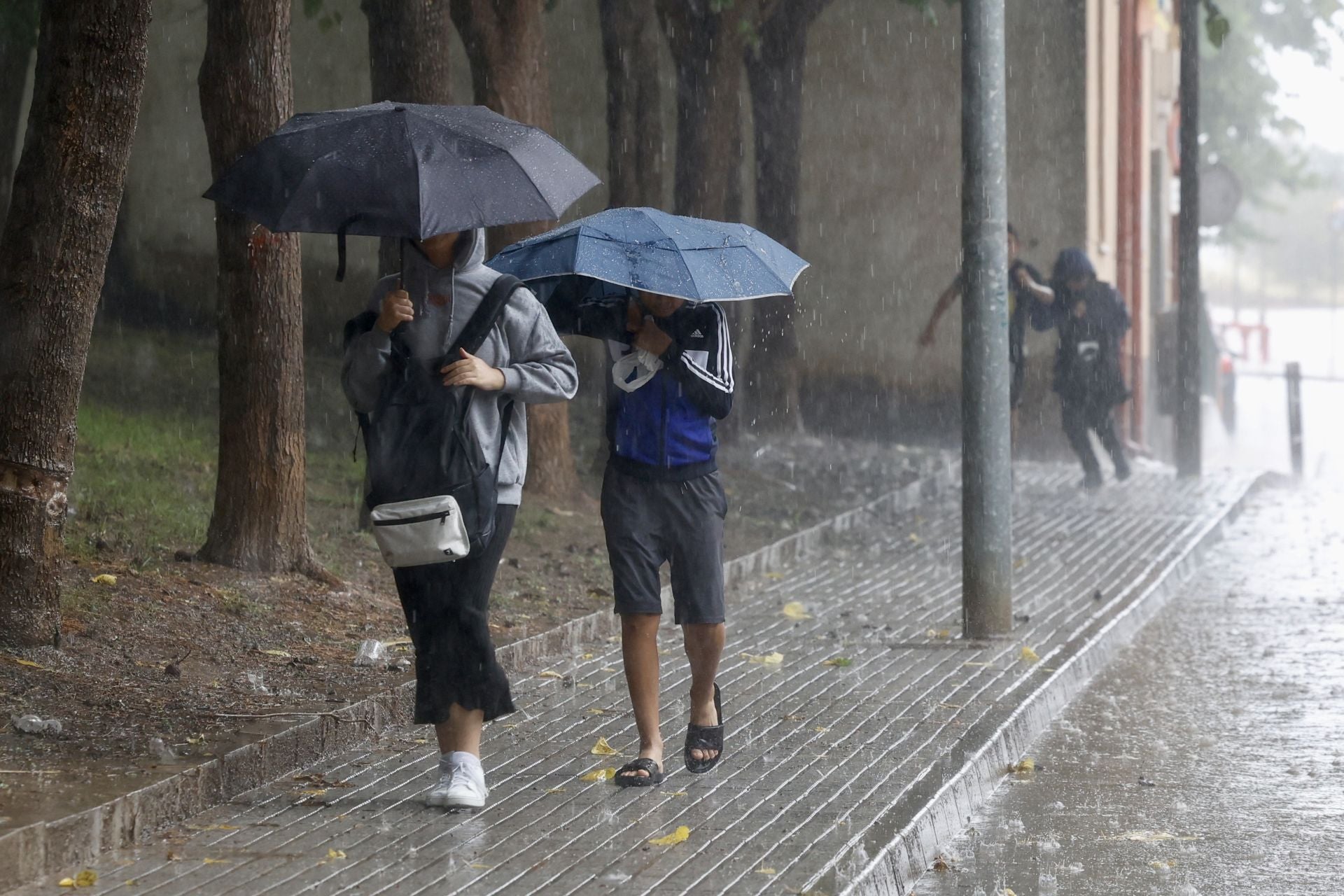 Las imágenes de la tormenta y la lluvia por la dana &#039;Alice&#039; este jueves en la Región de Murcia