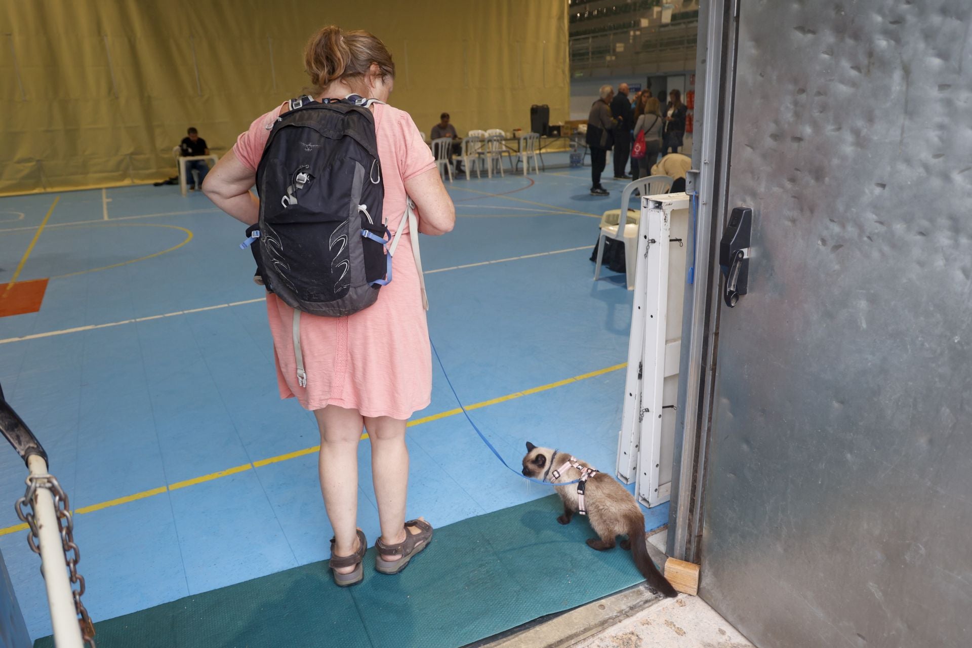 En imágenes, los efectos de la dana en Cartagena