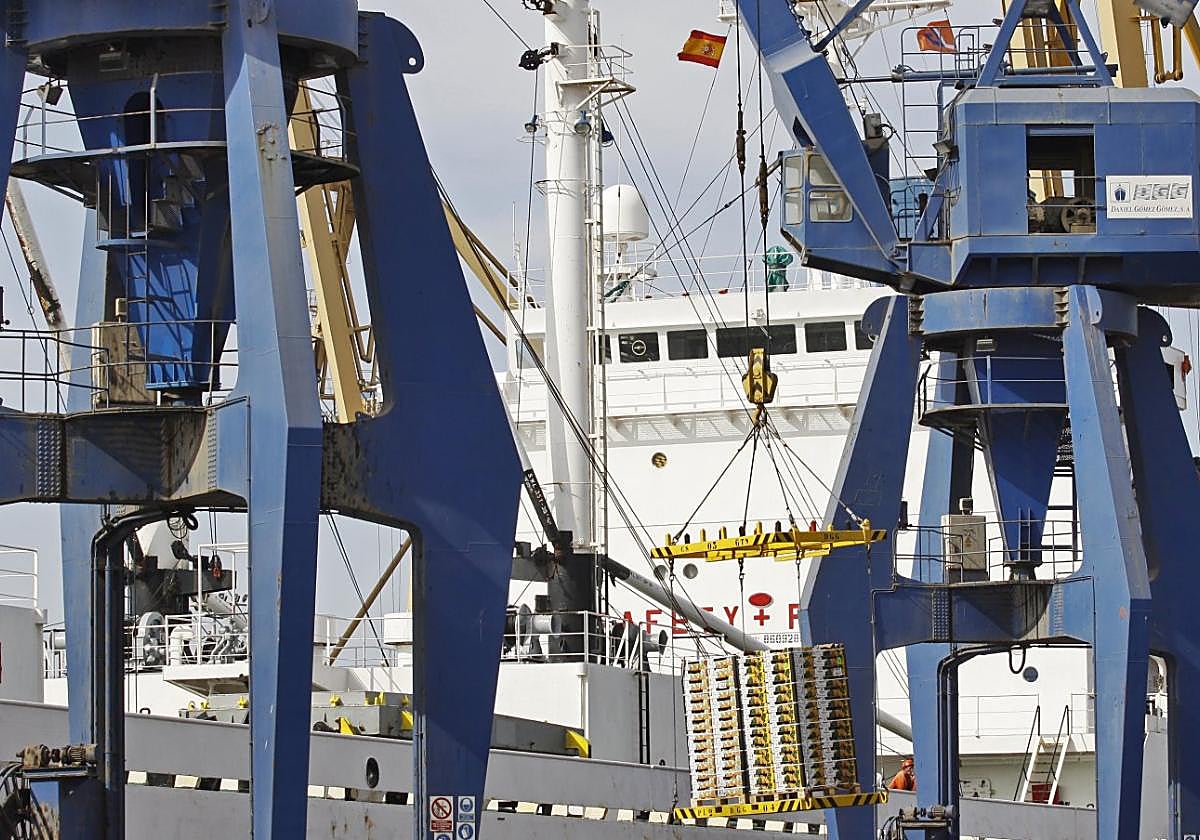 El Puerto de Cartagena se ha consolidado como un eslabón clave en la cadena logística hortofrutícola.