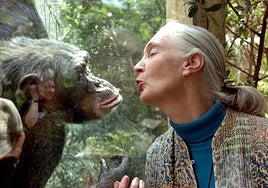 La científica y activista Jane Goodall