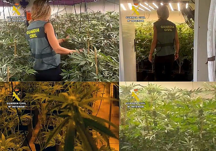 Imágenes de la Guardia Civil entrando al lugar.