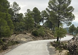 Superficie hormigonada en la carretera al santuario Casa Cristo.