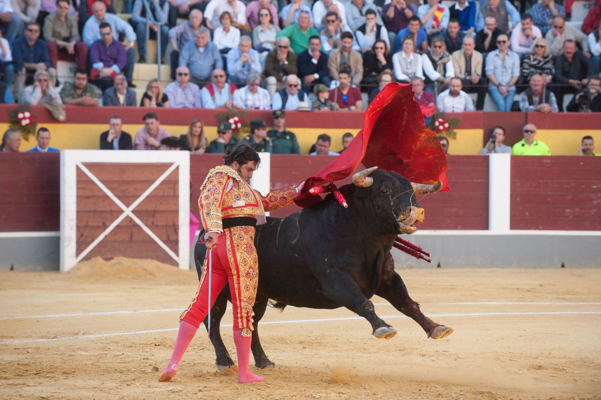 Toreando descalzo en Cehegín. 