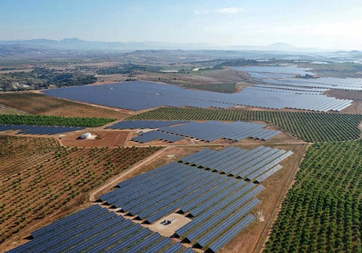 Vista aérea de la planta solar fotovoltaica de Mula.