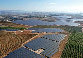 Vista aérea de la planta solar fotovoltaica de Mula.