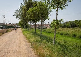 El río Segura antes de entrar al casco urbano de Orihuela.