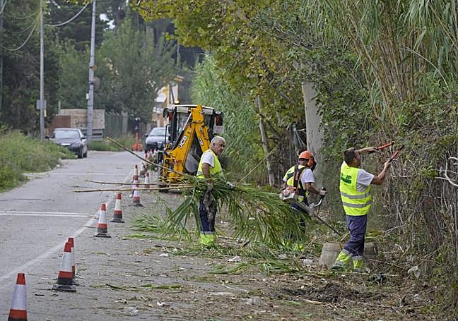 El desbroce de este jueves.