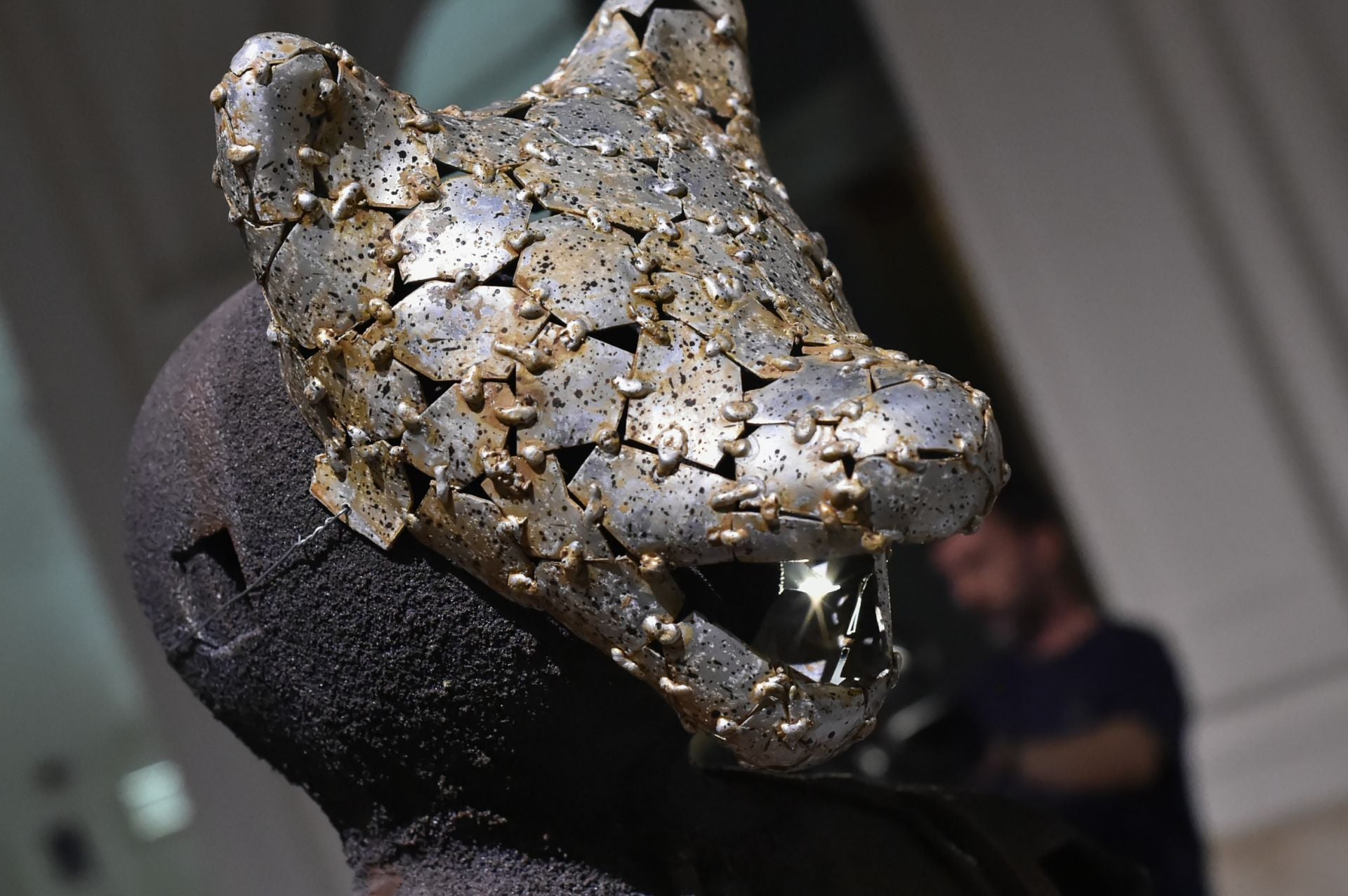 La exposición &#039;Xavier Mascaró: Del origen mágico&#039;, en imágenes