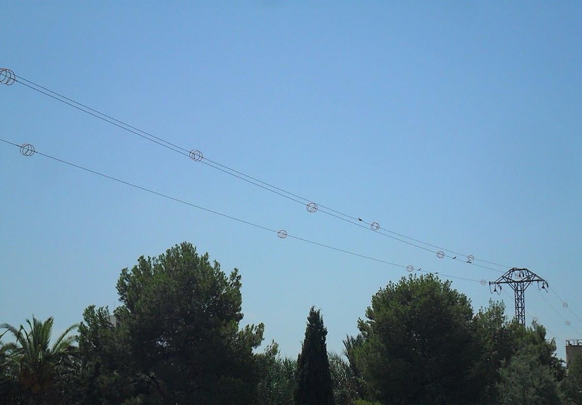 Medio Ambiente avanza en la adaptación de líneas eléctricas para proteger a la avifauna frente a la colisión y la electrocución